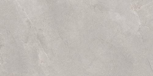 TERRA GRIS 60x120 LAPPATO.jpg