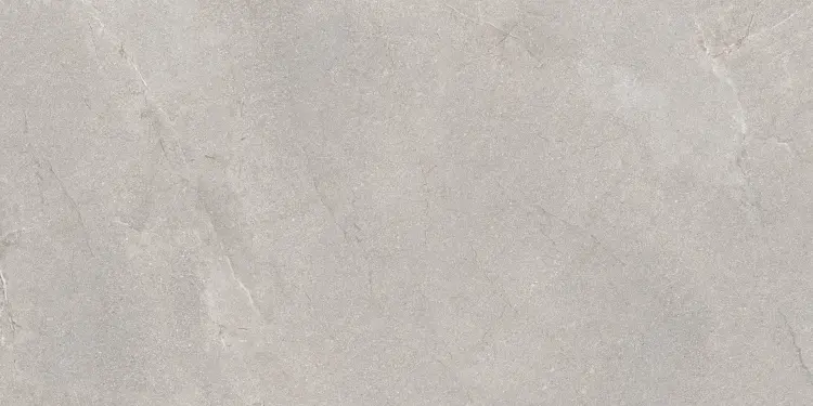 TERRA GRIS 60x120 LAPPATO.jpg