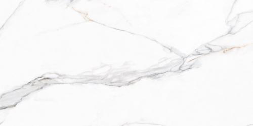 CALACUTTA BORGHINI 60X120.jpg