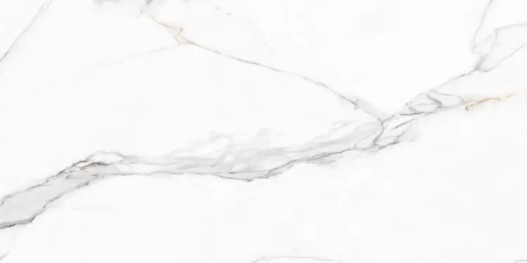 CALACUTTA BORGHINI 60X120.jpg