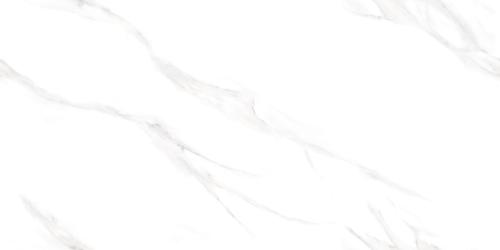 BOSTON STATUARIO GREY 60X120 POLISHED G1.MIB.jpg