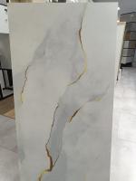 PREMIERA Gold Vein Marble White mat 60X120 gatunek I dostawa GRATIS od 2000 zł