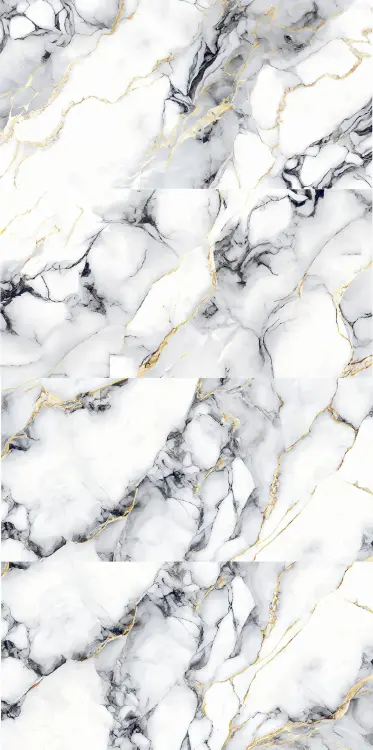 vein black 1.jpg