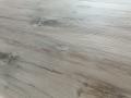 IMG-20250821-WA0005.jpg