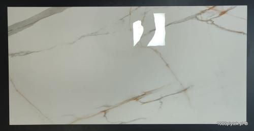 1675871210001.jpg