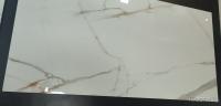 SIDORNO GOLD POLER 60X120 gatunek I WCC