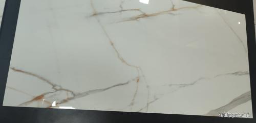 1675871209979.jpg