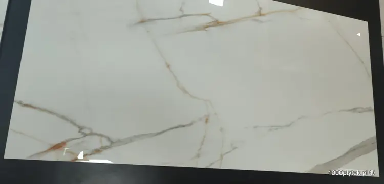 1675871209979.jpg