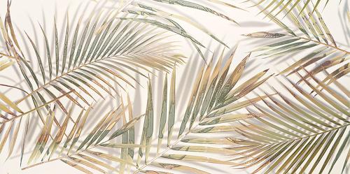 DS-Misteria-palm-1198x598-1.jpg