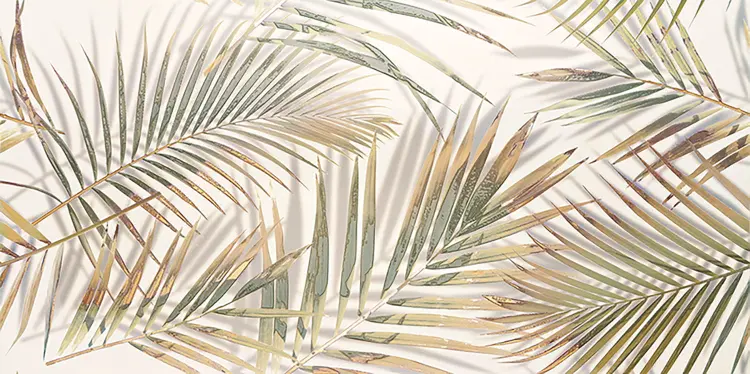 DS-Misteria-palm-1198x598-1.jpg