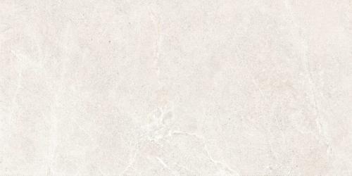 distinct-pearl-60x120-rf-1-e1744358592937.jpg