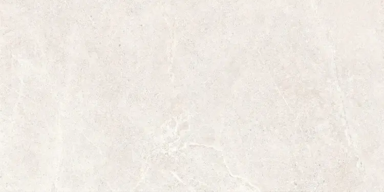 distinct-pearl-60x120-rf-1-e1744358592937.jpg