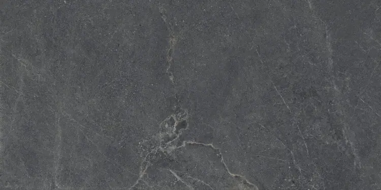 distinct-graphite-60x120-rf-1-e1744350636427.jpg