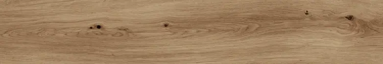 1718026168.5005.jpg