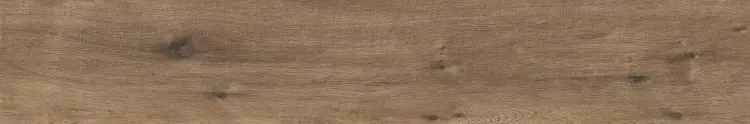 1772113405.9563.jpg