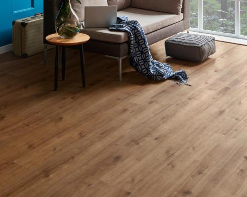 1772113416.2715.jpg