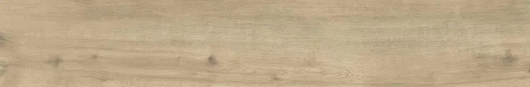 1772113464.3401.jpg