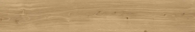 1772193644.6825.jpg