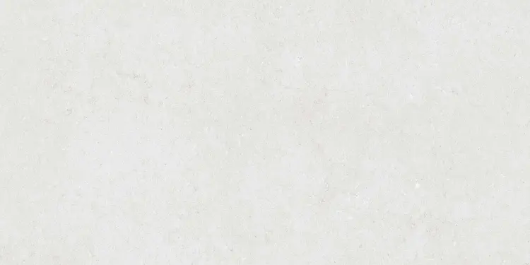 1738147597.0286.jpg