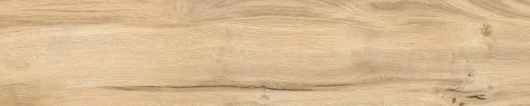 1708950938.2408.jpg