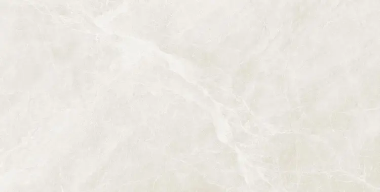 ENZO BIANCO LAPATO CARVING 60X120.jpg