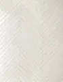 1734514352.938.jpg