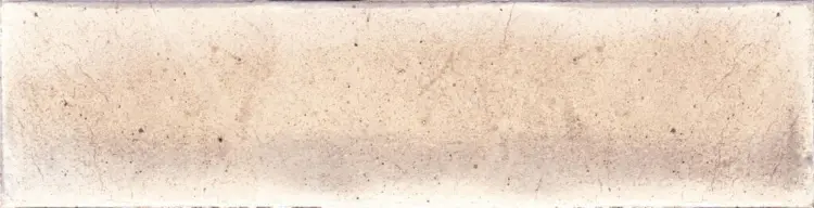 1737533179.461.jpg