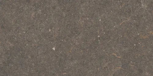 40445_0_18678.jpg