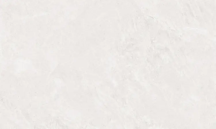 Emotion-Ceramics-Eternity-White-Matt-60X120-cm-plytka-scienna-i-podlogowa-178964.jpg