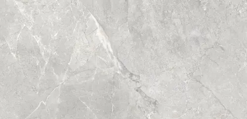 ELENZA GREY 120x60 MAT+CARVING G1.MIB.jpg