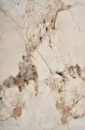 yvh2s3.1b5993.xxl.webp