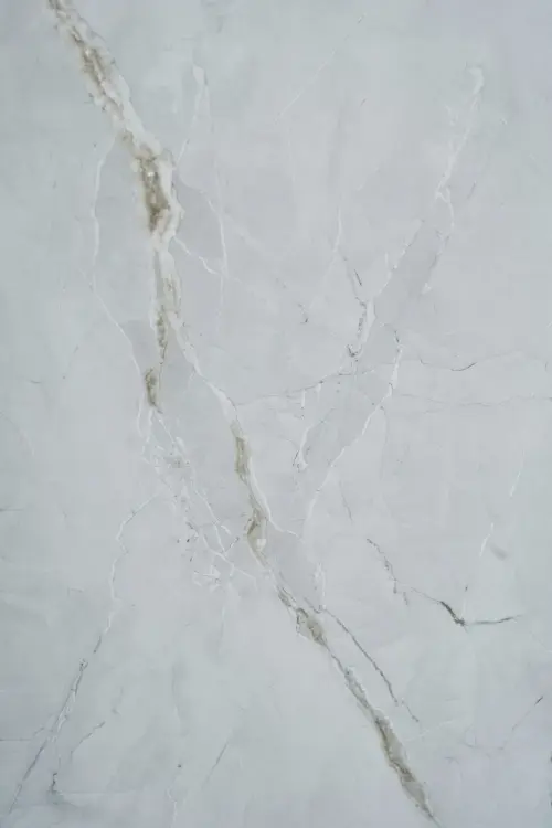 yvh2k1.833093.xxl.webp