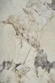 yvh2iv.65fdf2.xxl.webp