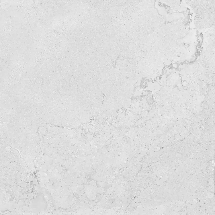 72237_1_3057234.jpg