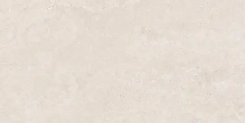 SANDSTONE BONE 60x120.jpg