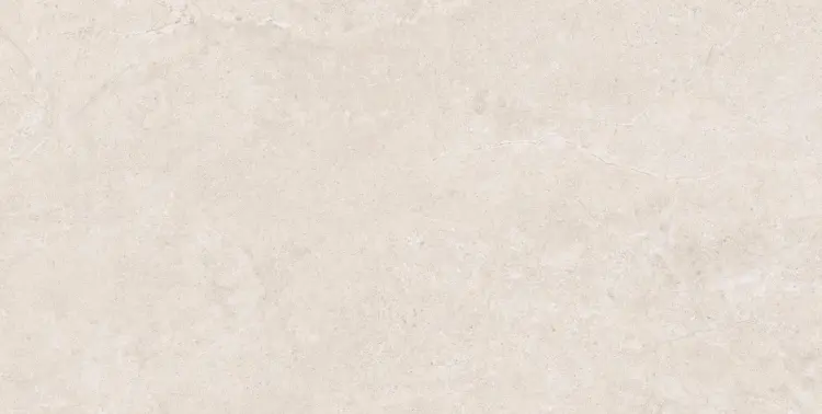 SANDSTONE BONE 60x120.jpg