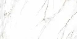 EPICENTR PALADIO WHITE SAT 60X120 gatunek I dostawa GRATIS od 2300 zł   