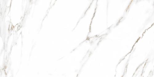 PALADIO WHITE SAT 60X120.jpg