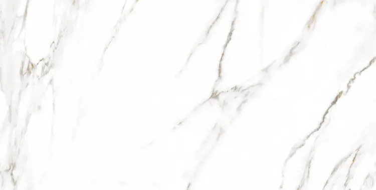 PALADIO WHITE SAT 60X120.jpg