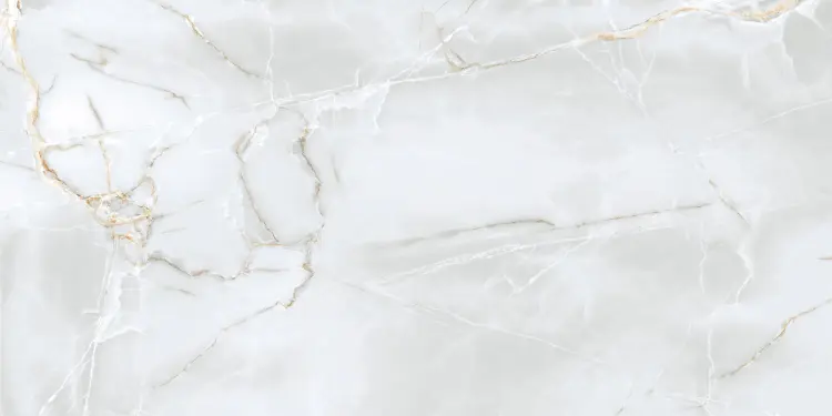 delicate light grey.jpg