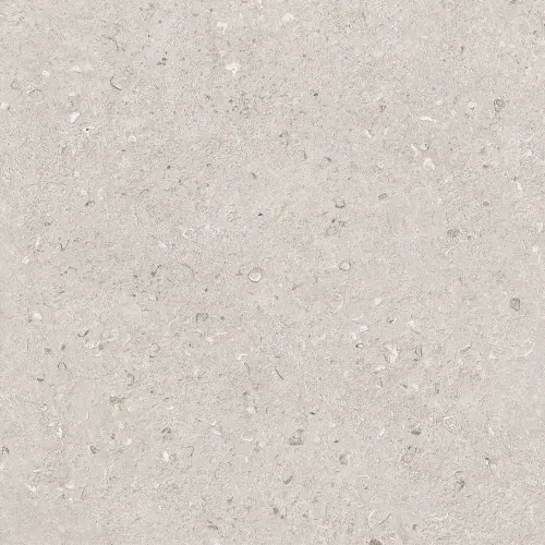 SILENT SHORE LIGHT BEIGE MATT 60X60.jpg