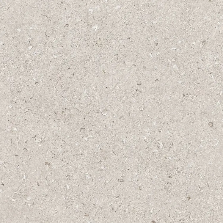 SILENT SHORE LIGHT BEIGE MATT 60X60.jpg