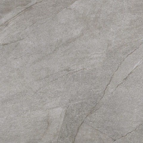 HALLEY SILVER 100x100.jpg