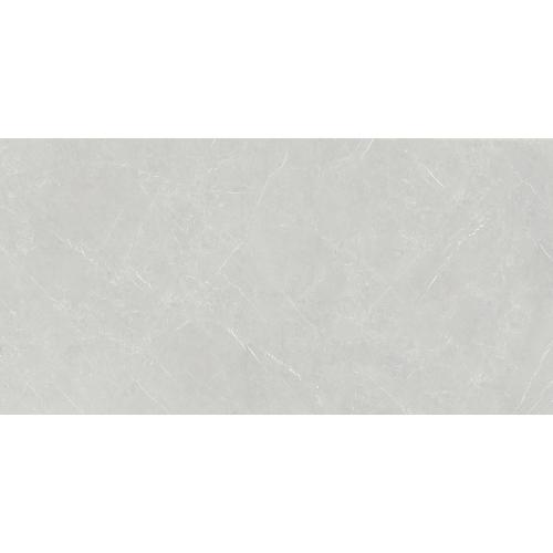 MONTGO GRIS 60X120.jpg