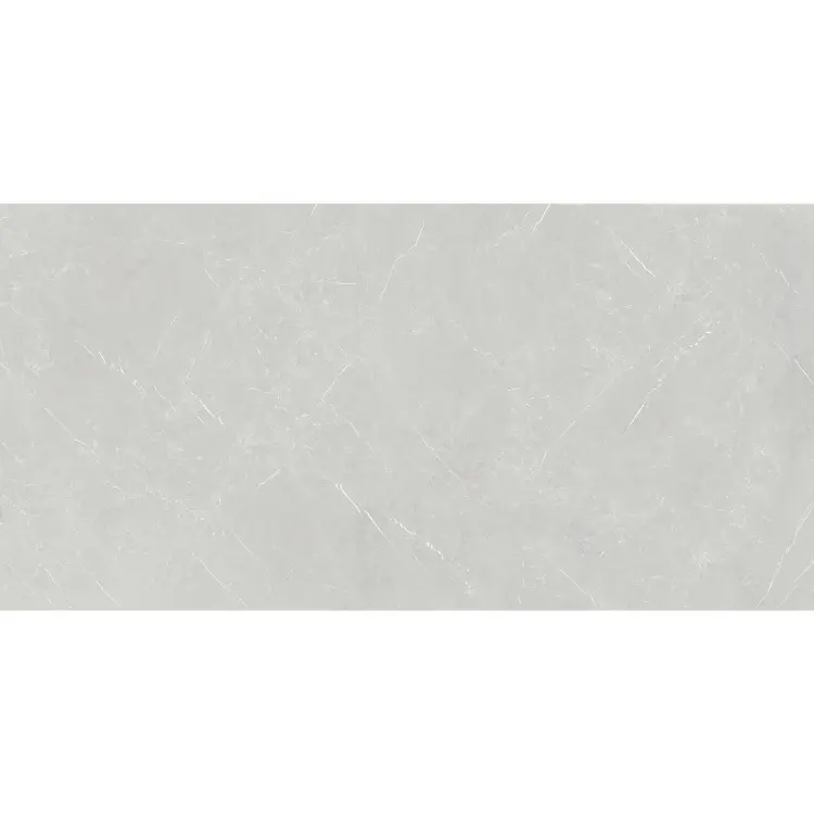 MONTGO GRIS 60X120.jpg