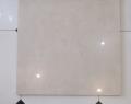 IMG_20170329_1532BEIGE.jpg