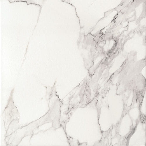 PP-Bonella-white-1.jpg