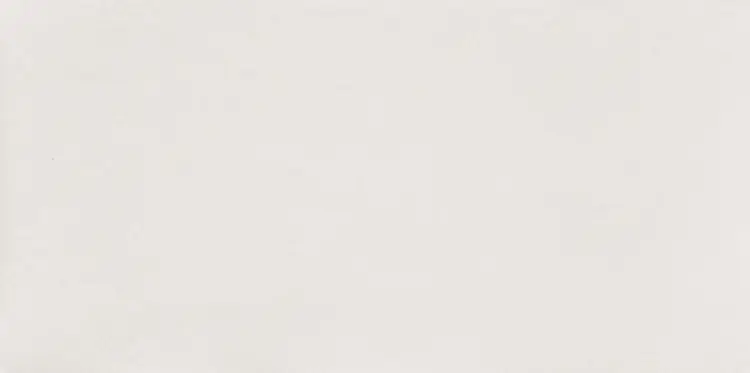 pl_PS-Reflection-white.jpg
