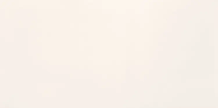pl_PS-Touch-white.jpg