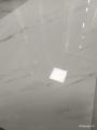 IMG_20200521_101352.jpg